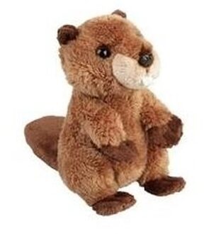 Knuffel bever bruin 15 cm knuffels kopen