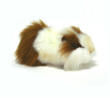 knuffel cavia - wit/bruin - 30 cm - knuffeldier - realistisch