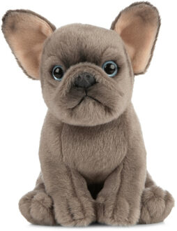 Knuffel Franse Buldog, 15 cm Bruin