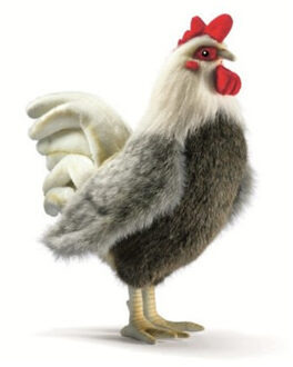 Knuffel Haan - pluche - 30 cm - knuffeldier - kip