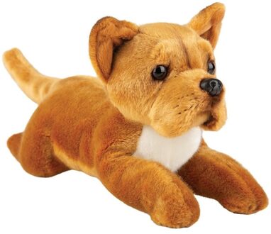 Knuffel Staffordshire bull terrier hond - bruin - 30 cm - pluche - knuffelhond