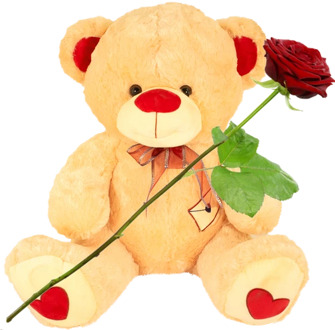 Knuffelbeer XXL ca. 75cm groot