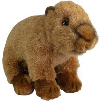 Knuffeldier Capybara - pluche knuffel - bruin - 20 cm - bosdier knuffel