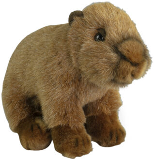 Knuffeldier Capybara - zachte pluche stof - premium kwaliteit knuffels - bruin - 18 cm