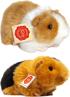 Knuffeldier Cavia set 2x stuks - zachte pluche - premium knuffels - multi kleuren - 20 cm