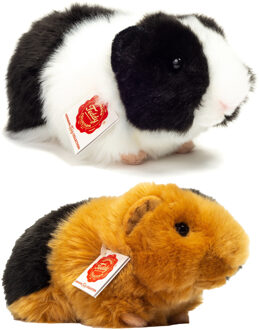 Knuffeldier Cavia set 2x stuks - zachte pluche - premium knuffels - multi kleuren - 20 cm