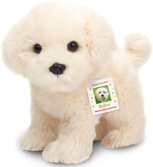 Knuffeldier hond Maltezer - pluche stof - premium kwaliteit knuffels - 23 cm - wit
