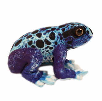 Knuffeldier Kikker - Giftige boomkikkers - premium kwaliteit knuffels - blauw - 24 cm