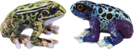 Knuffeldier Kikkers - Giftige boomkikkers - 2x stuks - dieren knuffels - groen en blauw - 24 cm