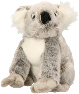 Knuffeldier koala 25 cm - Knuffeldier Multikleur