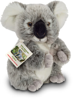 Knuffeldier Koala - zachte pluche stof - premium kwaliteit knuffels - grijs - 21 cm