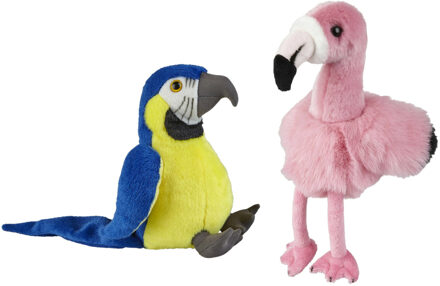 Knuffeldieren set papegaai en flamingo pluche knuffels 18 cm - Vogel knuffels Roze