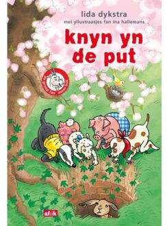 Knyn Yn De Put - De Groep Fan Mees Bok - Lida Dykstra