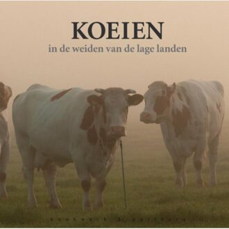 Koeien in de weiden van de lage landen - Boek Reimer Strikwerda (908975184X)