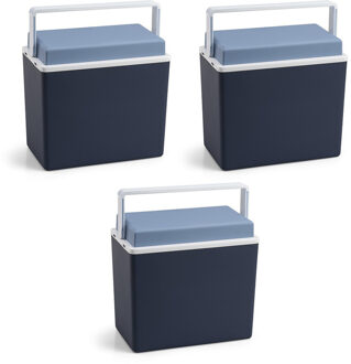 Koelbox - 3x - blauw - klein formaat - 10 liter - 30,5 cm - koelboxen