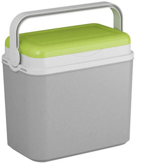 Koelbox grijs/groen 10 liter 30 x 19 x 28 cm - Koelboxen