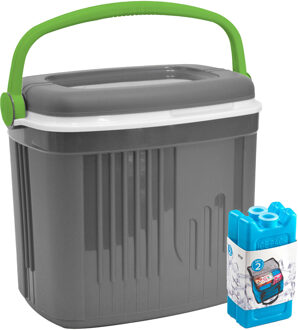 Koelbox met koelelementen - 20 liter - kunststof - grijs - 39 x 28 x 39 cm