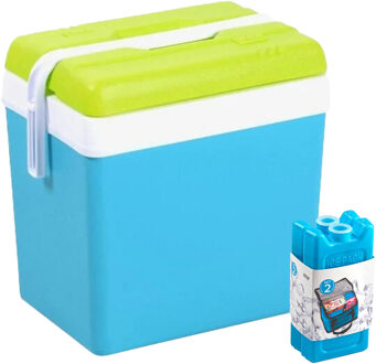 Koelbox met koelelementen - 24 liter - kunststof - blauw - 36 x 27 x 40 cm