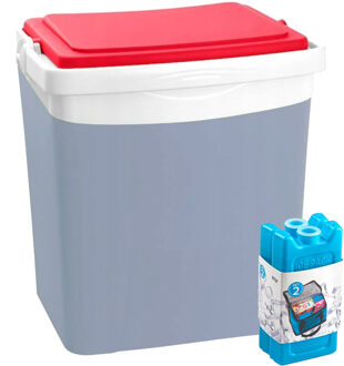 Koelbox met koelelementen - 25 liter - kunststof - grijs - 39 x 29 x 42 cm