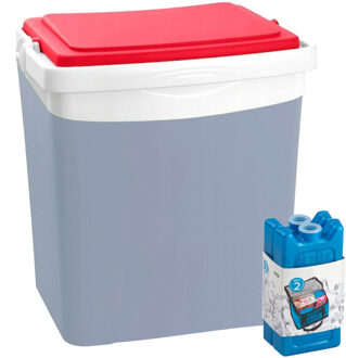 Koelbox met koelelementen - 25 liter - kunststof - grijs - 39 x 29 x 42 cm