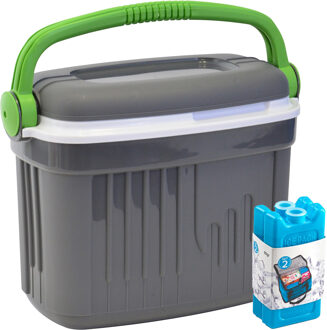 Koelbox met koelelementen - 32 liter - kunststof - grijs - 47 x 33 x 42 cm