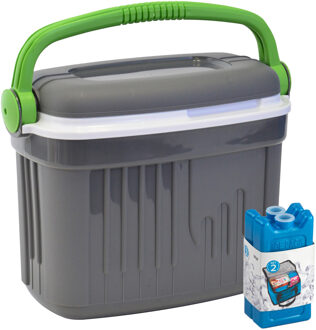 Koelbox met koelelementen - 32 liter - kunststof - grijs - 47 x 33 x 42 cm