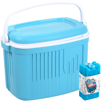 Koelbox met koelelementen - 42 liter - kunststof - blauw - 56 x 37 x 42 cm