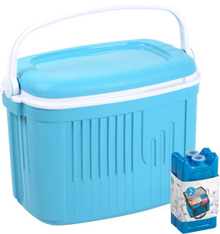Koelbox met koelelementen - 42 liter - kunststof - blauw - 56 x 37 x 42 cm