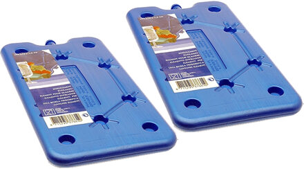Koelelement - 2x - blauw - polyethyleen - 400 gram - L25 x B14 x H1,5 cm