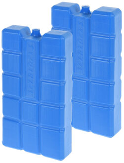 Koelelement blok van 750 gram - 2x - blauw - kunststof - voor koelbox en koeltas
