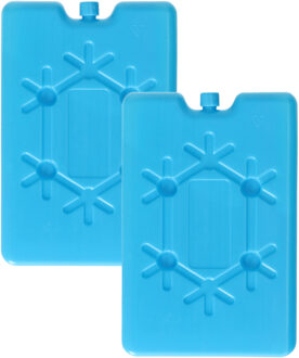 Koelelement plat - 2x - blauw - 200 ml - 11 x 16 cm - koeltas/koelbox element