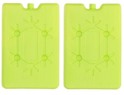 Koelelement plat - 2x - groen - 200 ml - 11 x 16 cm - koeltas/koelbox element