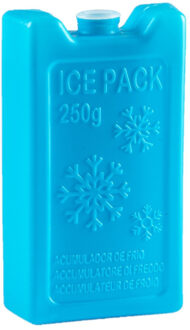 Koelelementen - 250 grams - 13 x 7.5 cm - blauw - kunststof