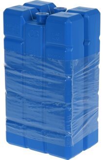 Koelelementen - 2x stuks - 400 gram - 9 x 16 cm - kunststof - elementen voor koelbox/koeltas