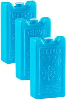 Koelelementen - 6x stuks - 250 grams - 13 x 7.5 cm - blauw - kunststof