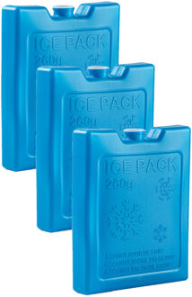 koelelementen - 6x stuks - 260 grams - 13 x 10.5 cm - kobalt blauw