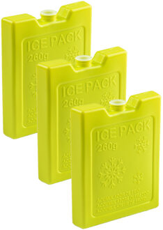 Koelelementen - 6x stuks - 260 grams - 13 x 10 cm - groen - kunststof