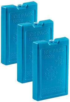Koelelementen van 1000 gram - 6x stuks - blauw - 22 x 14.5 x 3.5 cm - voor koeltas en koelbox