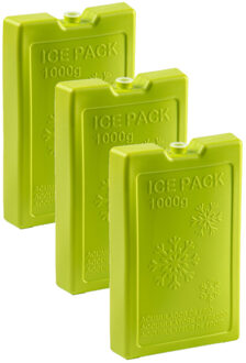 Koelelementen van 1000 gram - 6x stuks - groen - 22 x 14.5 x 3.5 cm - voor koeltas en koelbox