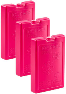 Koelelementen van 1000 gram - 6x stuks - roze - 22 x 14.5 x 3.5 cm - voor koeltas en koelbox