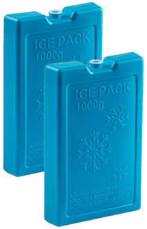 Koelelementen van 1000 gram - 8x stuks - blauw - 22 x 14.5 x 3.5 cm - voor koeltas en koelbox