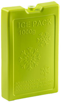 Koelelementen van 1000 gram - groen - 22 x 14.5 x 3.5 cm - voor koeltas en koelbox