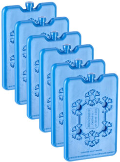 Koelelementen van 200 gram - 6x - blauw - 11 x 16.5 cm - Koelblokken voor koeltas/koelbox