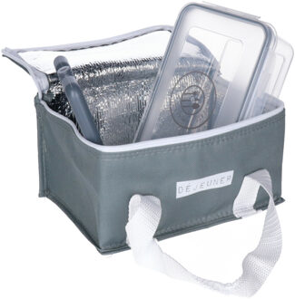 Koeltas Complete - voor lunch - 3L - 22 x 15 x 11 cm - met koelelement en box