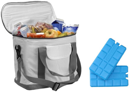 Koeltas van 25 x 20 x 35 cm wit/grijs met 6x stuks koelelementen - Koeltas