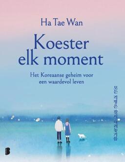 Koester elk moment -  Tae Wan Ha (ISBN: 9789049204570)