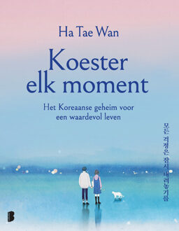 Koester elk moment -  Tae Wan Ha (ISBN: 9789402324204)