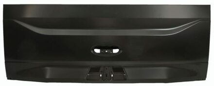 Koffer-/ bagageruimtedeksel 6301002593710P