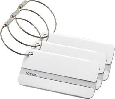 Kofferlabel Discovery - 3x - zilver - 8 x 4 cm - reiskoffer/handbagage label
