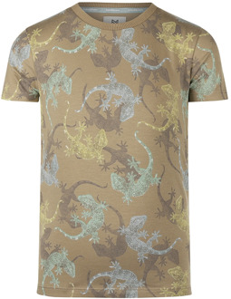 Koko Noko jongens t-shirt Taupe - 116